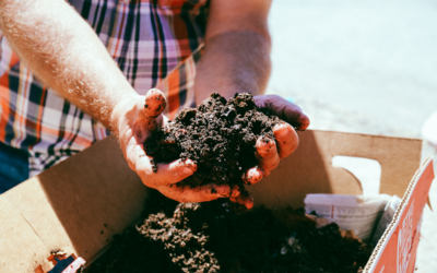 2050 Priorities for Climate Action: How Philanthropy Can Help to Scale Carbon Removal