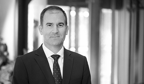 Prof. Dr. Raoul Klingner